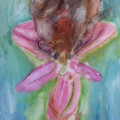 Béatrice Grebot – Orchidée 3